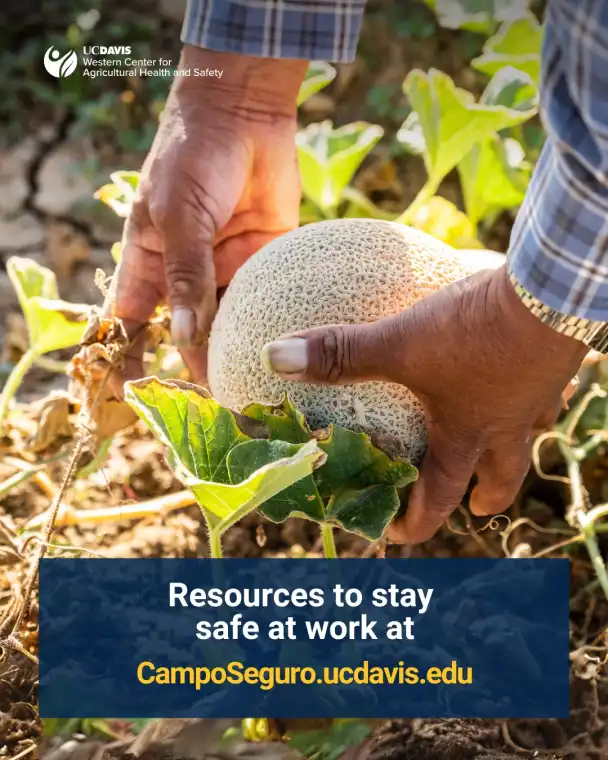 Resource