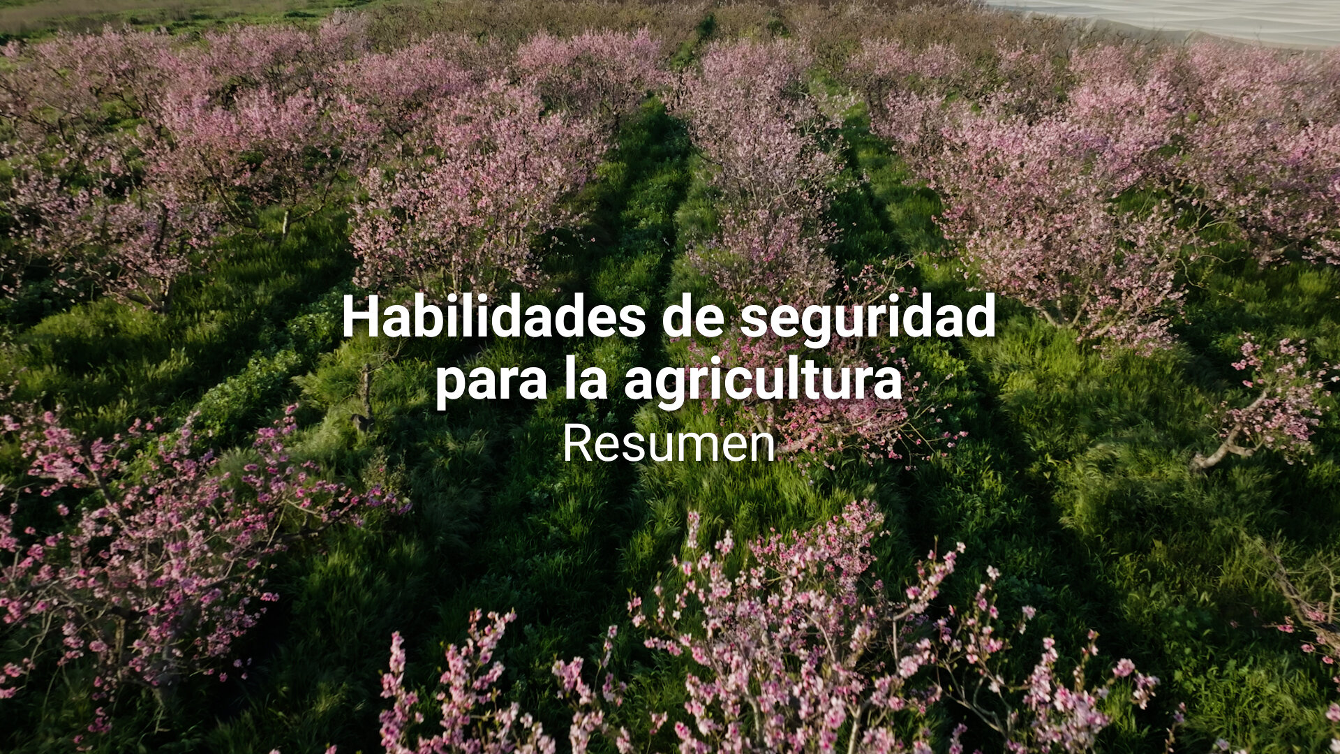 Video: resumen de las habilidades de seguridad