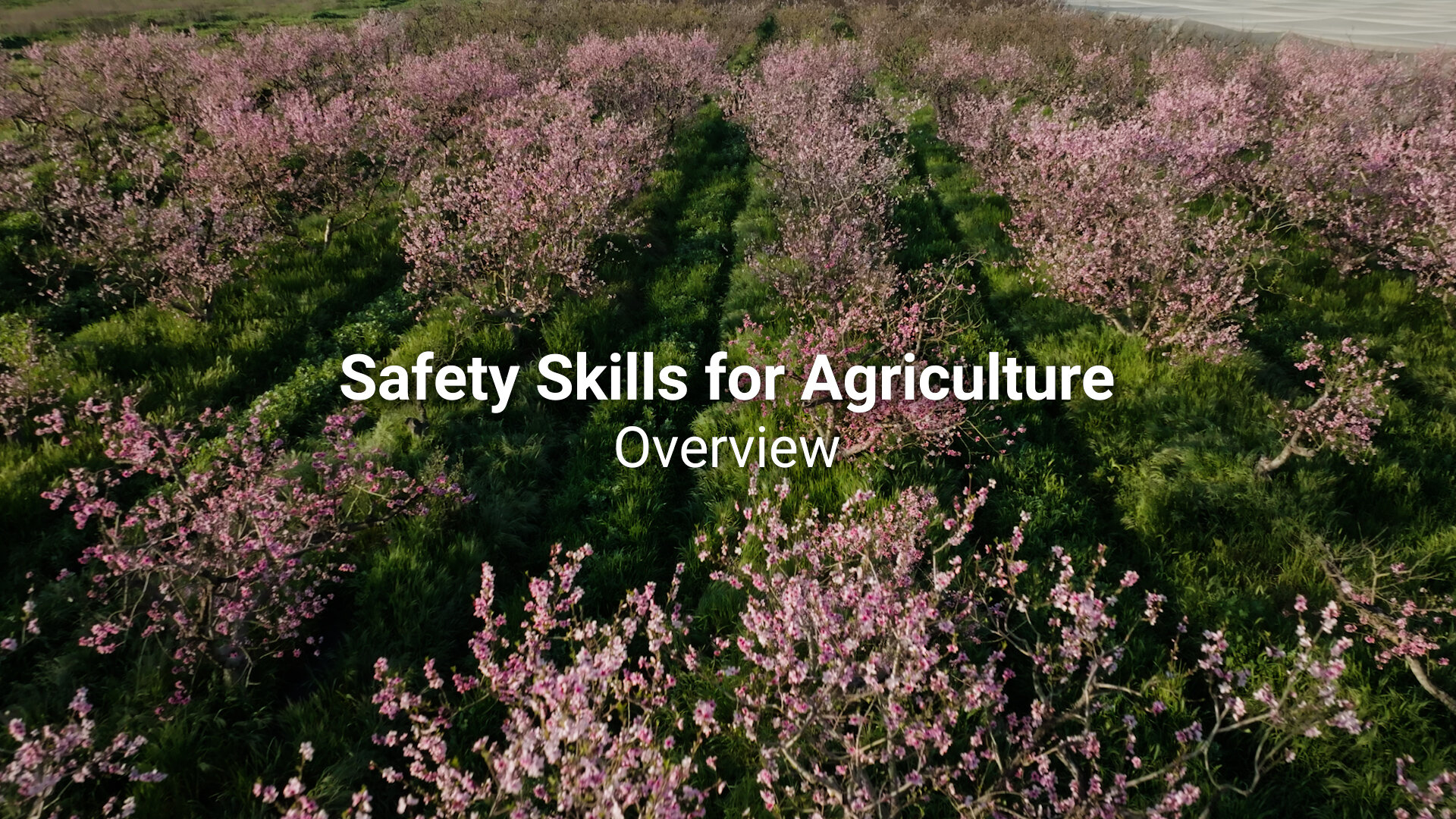 Video: overview of safety skills